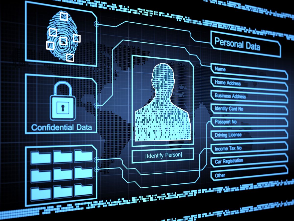 Beyond the Plastic Card: The Architecture and Security of Digital IDs